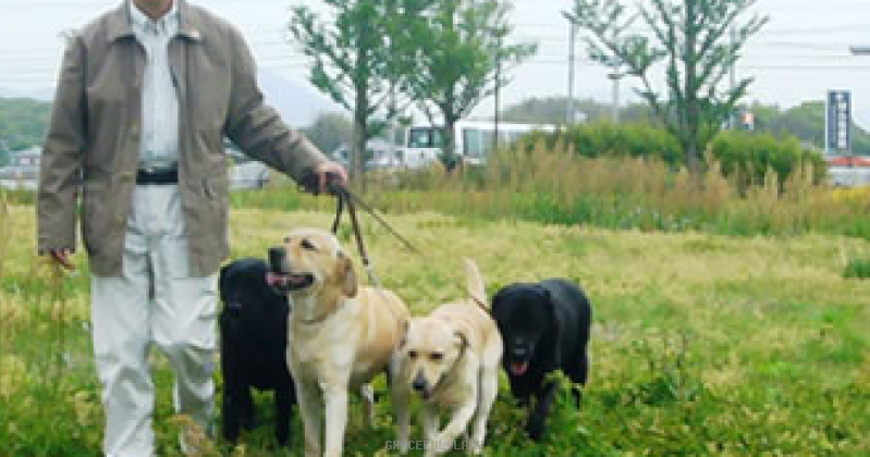 犬舎について 犬舎について